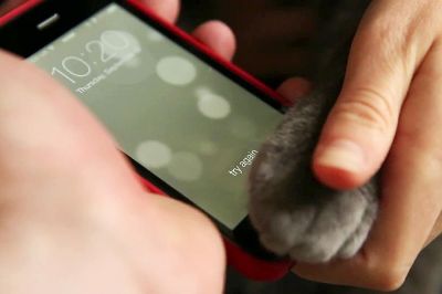 Как увеличить результативность работы Touch ID в Phone 5s