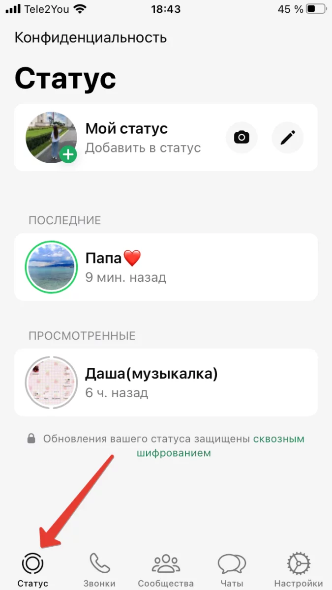 Как увидеть обновления статуса других людей в WhatsApp на iPhone: