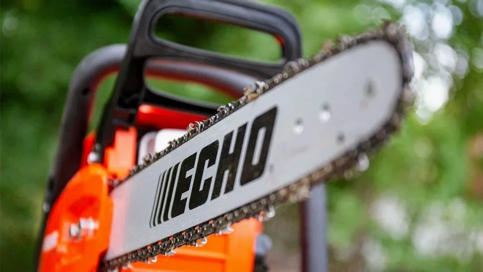 Echo CS-310-14